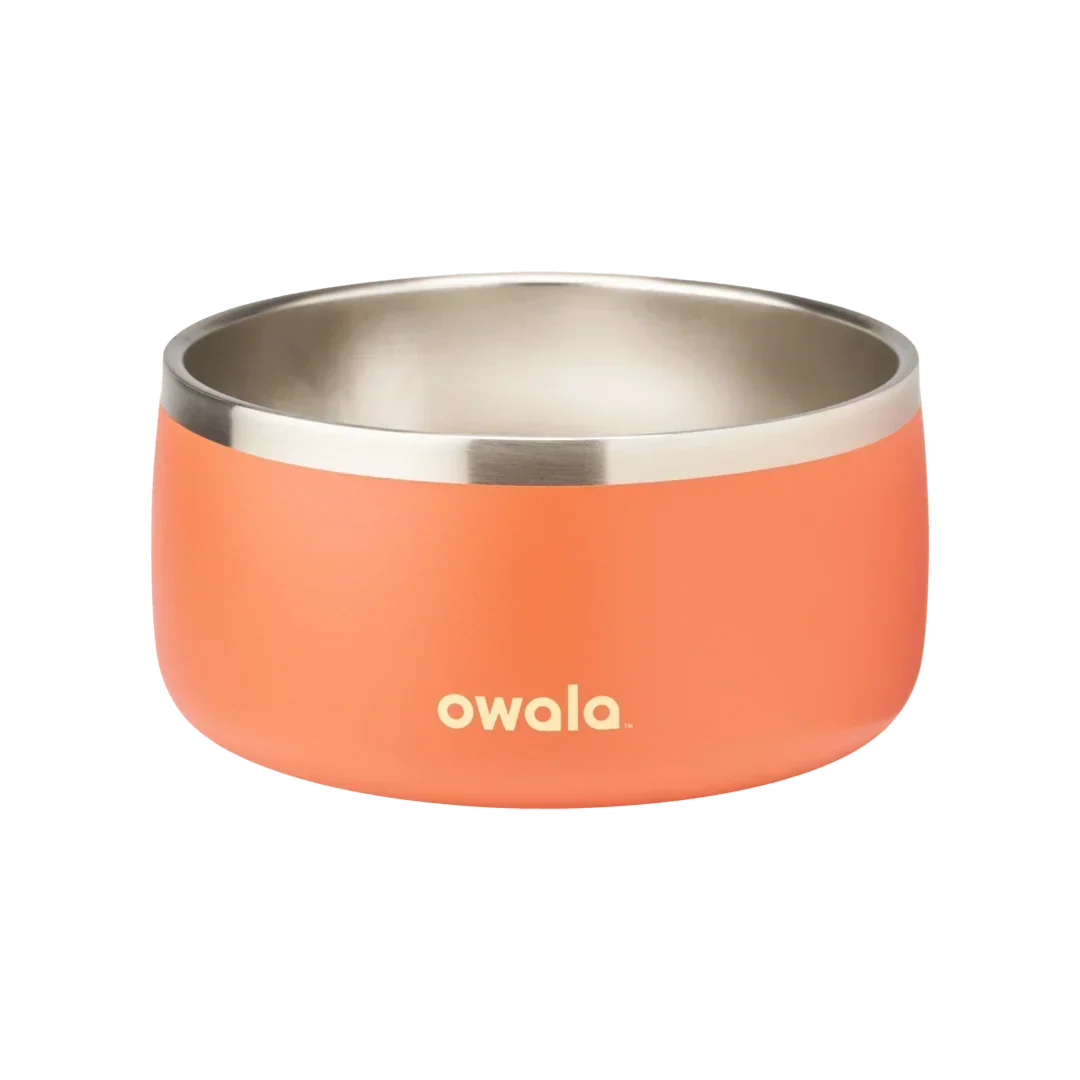 Pet Bowl